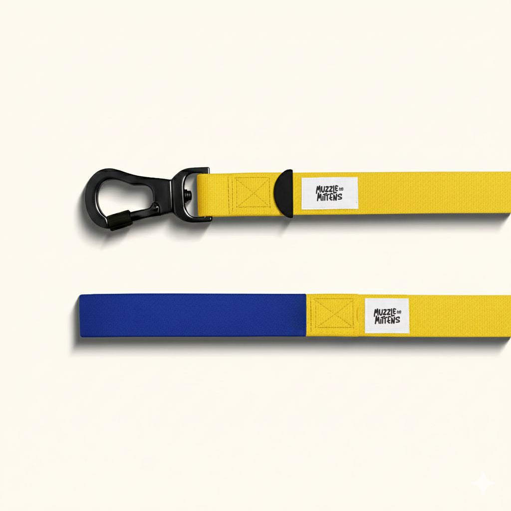 Leash - M&M